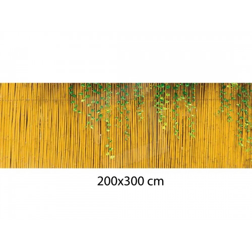 Arella 200x300 in Cannucce di Bambu Frangivista Recinzione per Cancello