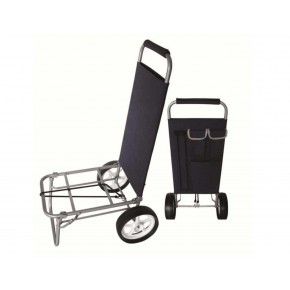 Carrello Portatutto con 2 Ruote in Plastica Verde Portata Massima 70Kg  49x45x85 cm per Giardino e Fai Da Te