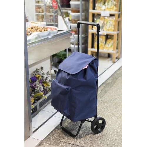 Carrello Blu Tessuto Portatutto 4 Ruote Carretto da Giardino Spesa 80 Kg