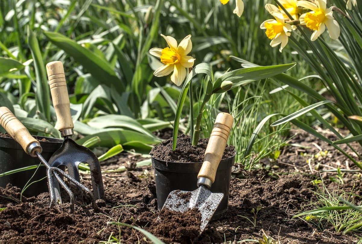 Manutenzione giardino: gli strumenti essenziali per prendersene cura -  BricoShop24